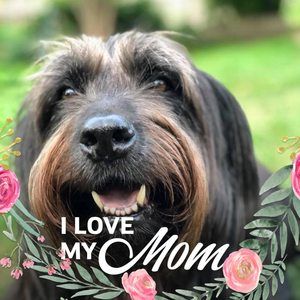 Meet your Posher, Suzanne